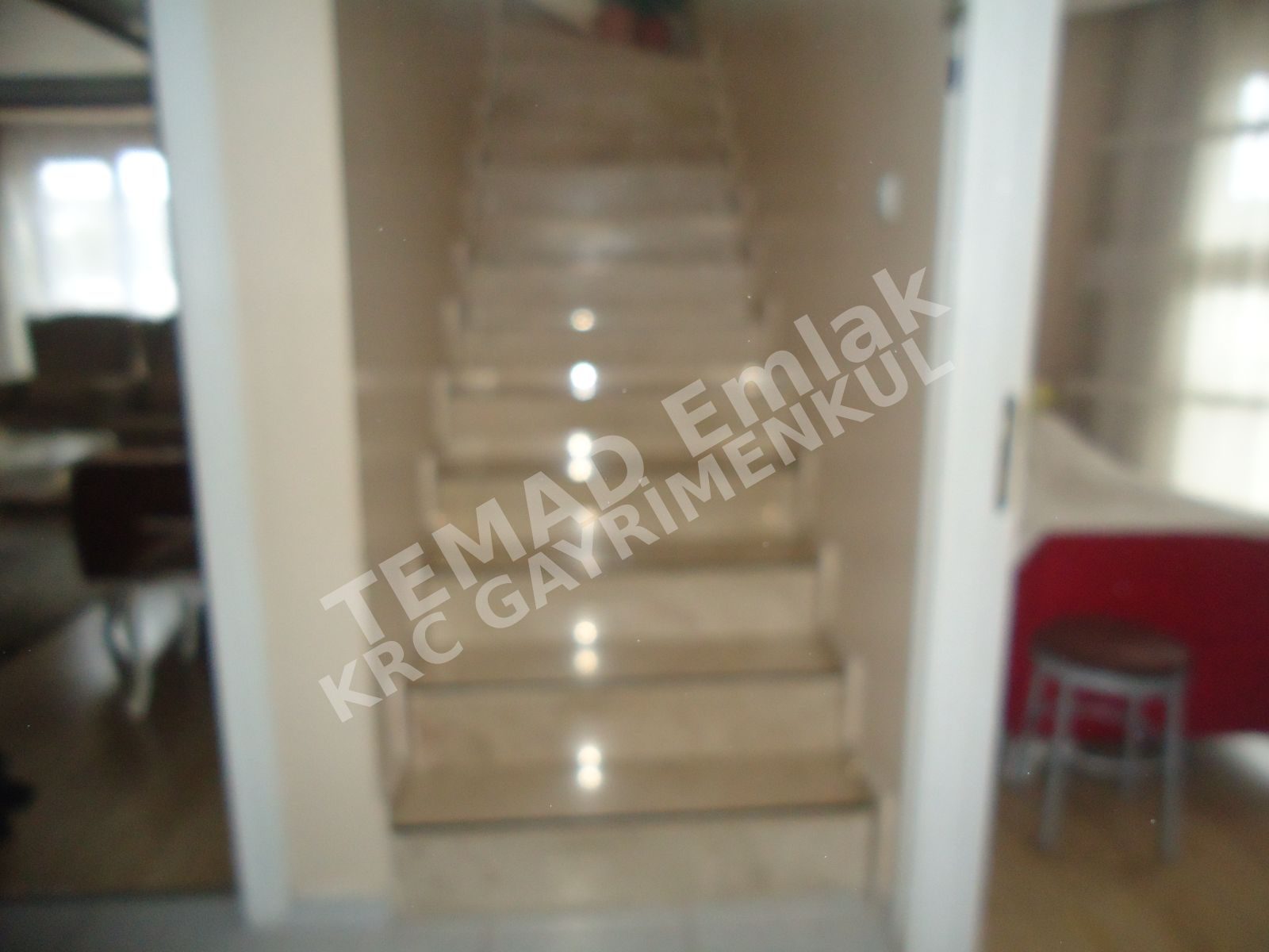 Fotoğraf