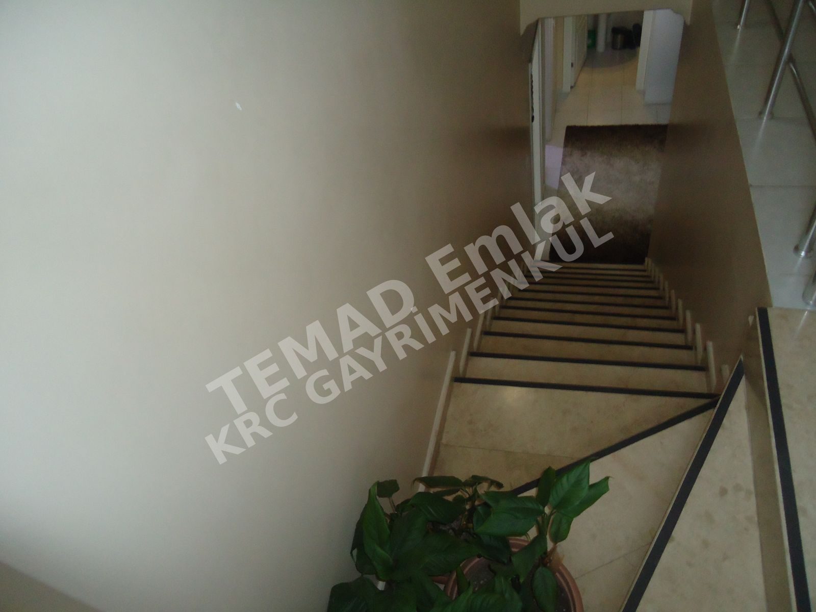 Fotoğraf