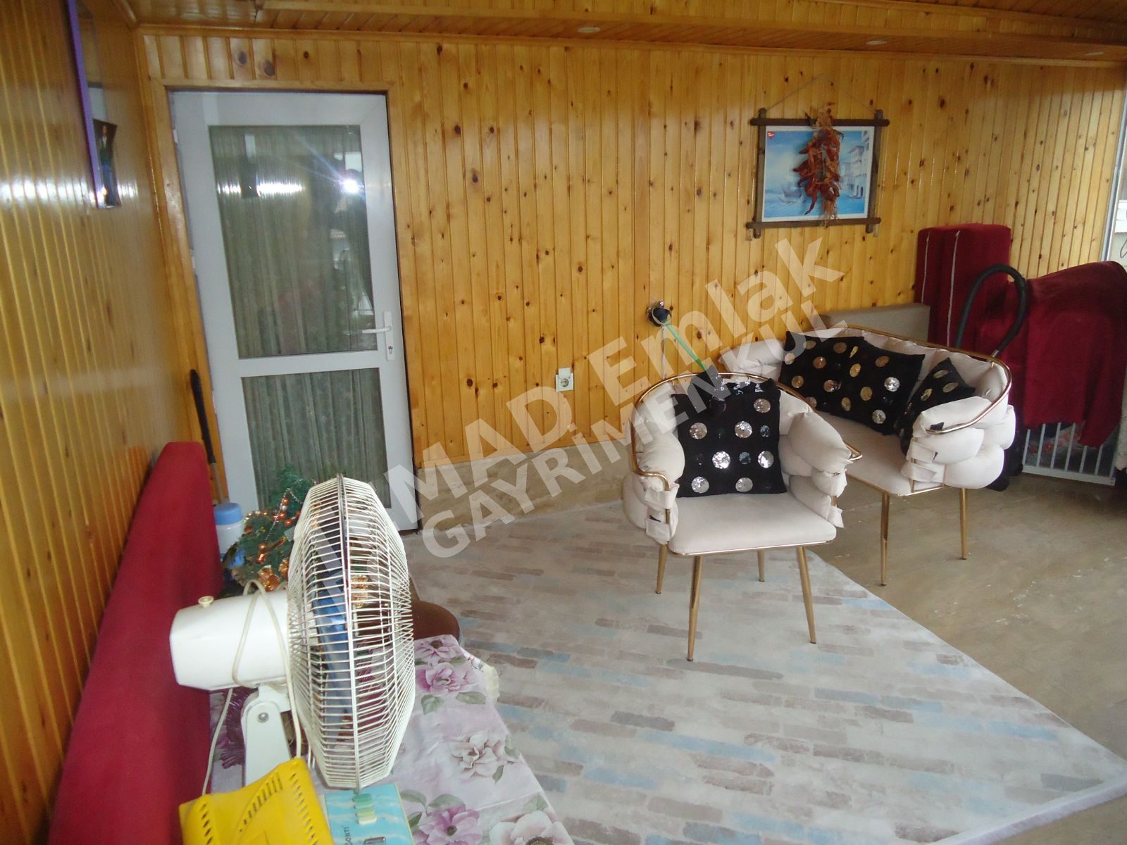 Fotoğraf