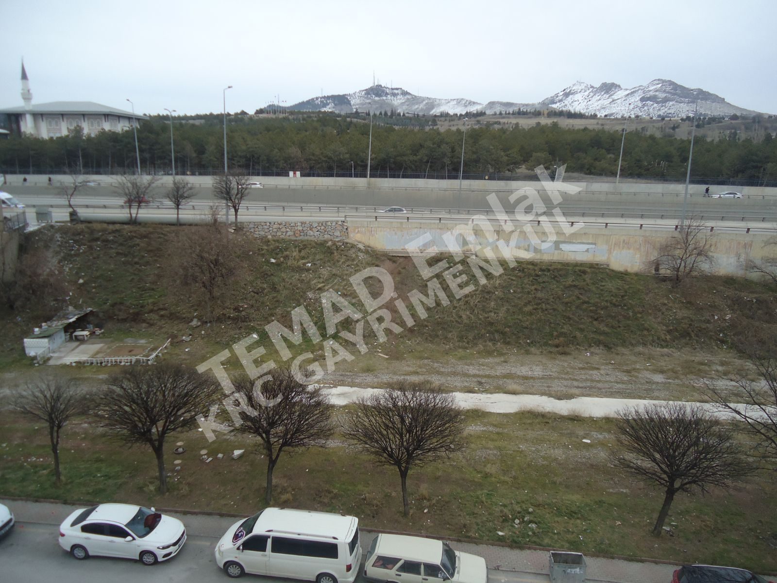 Fotoğraf