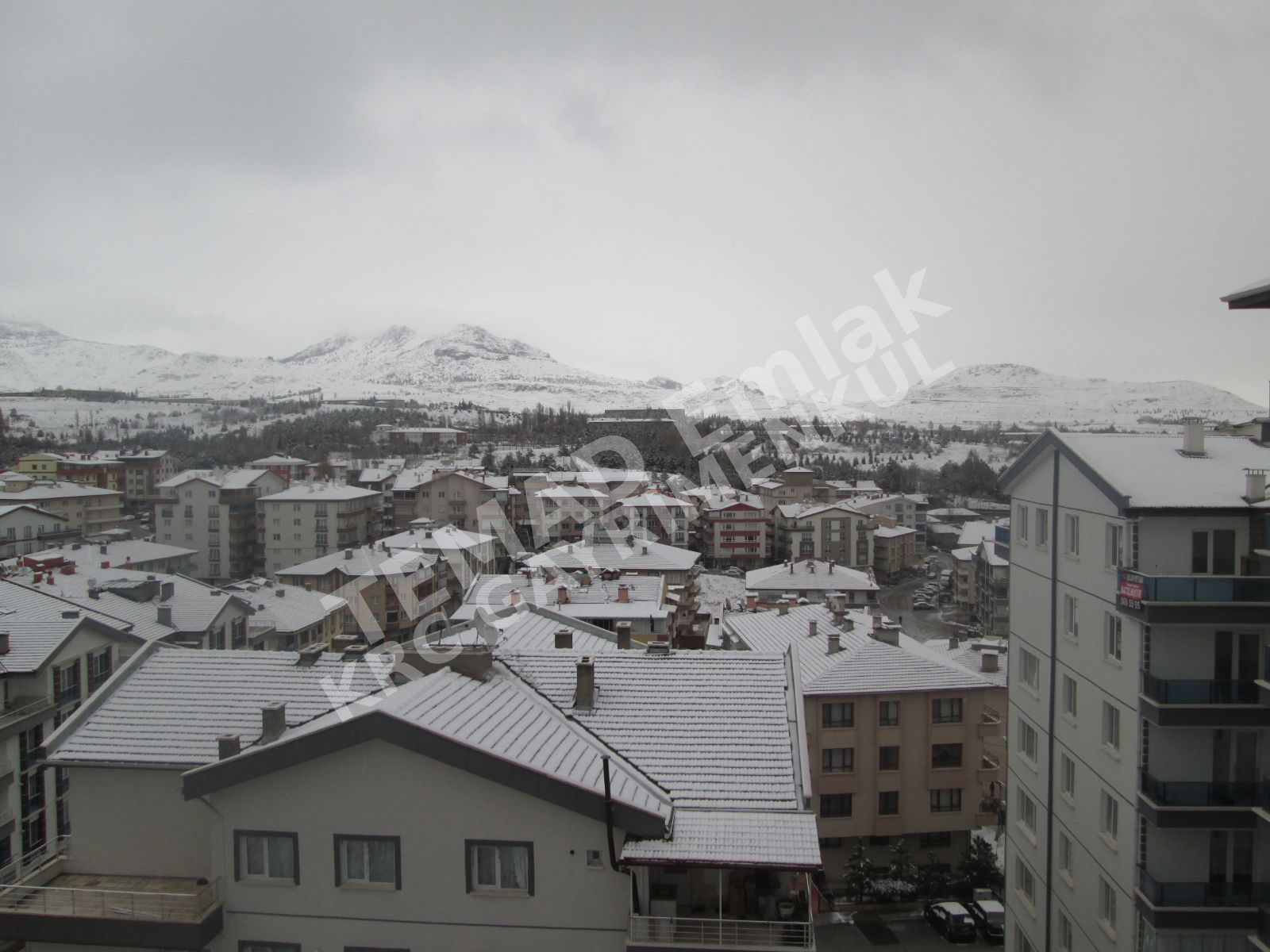 Fotoğraf