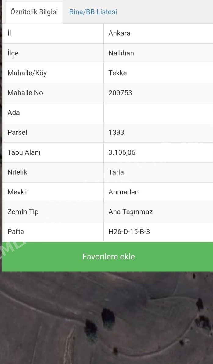 Fotoğraf