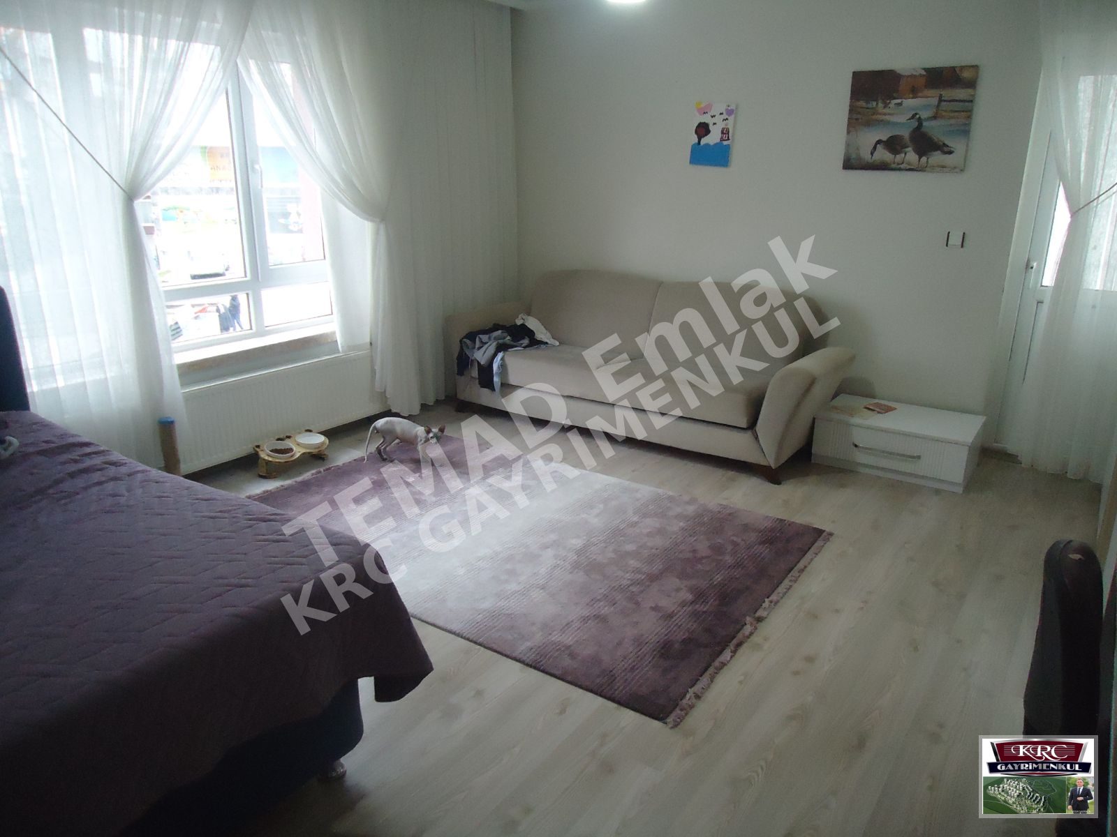Fotoğraf