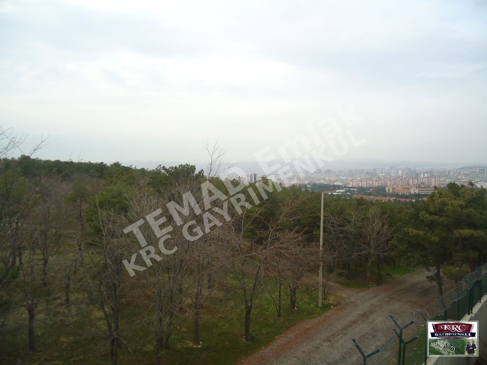 Fotoğraf