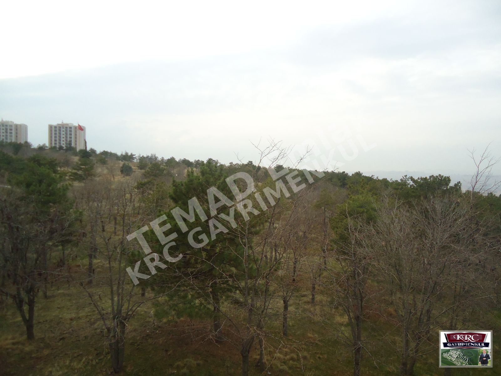 Fotoğraf