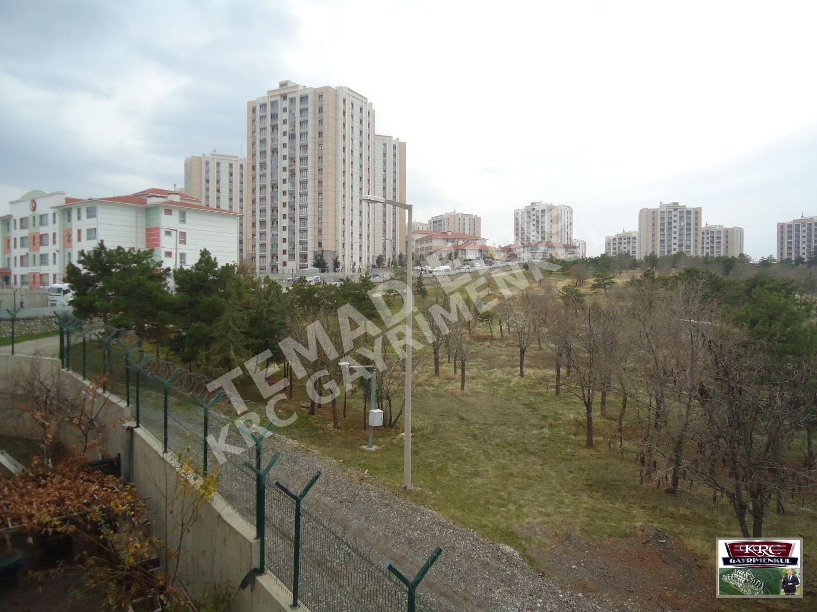 Fotoğraf