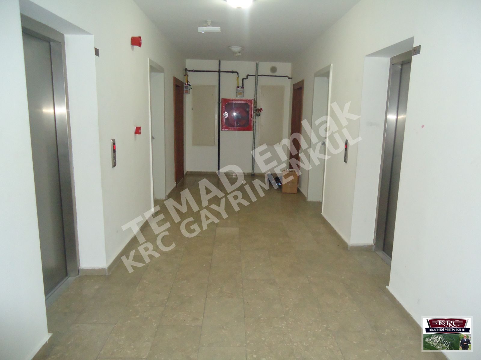 Fotoğraf