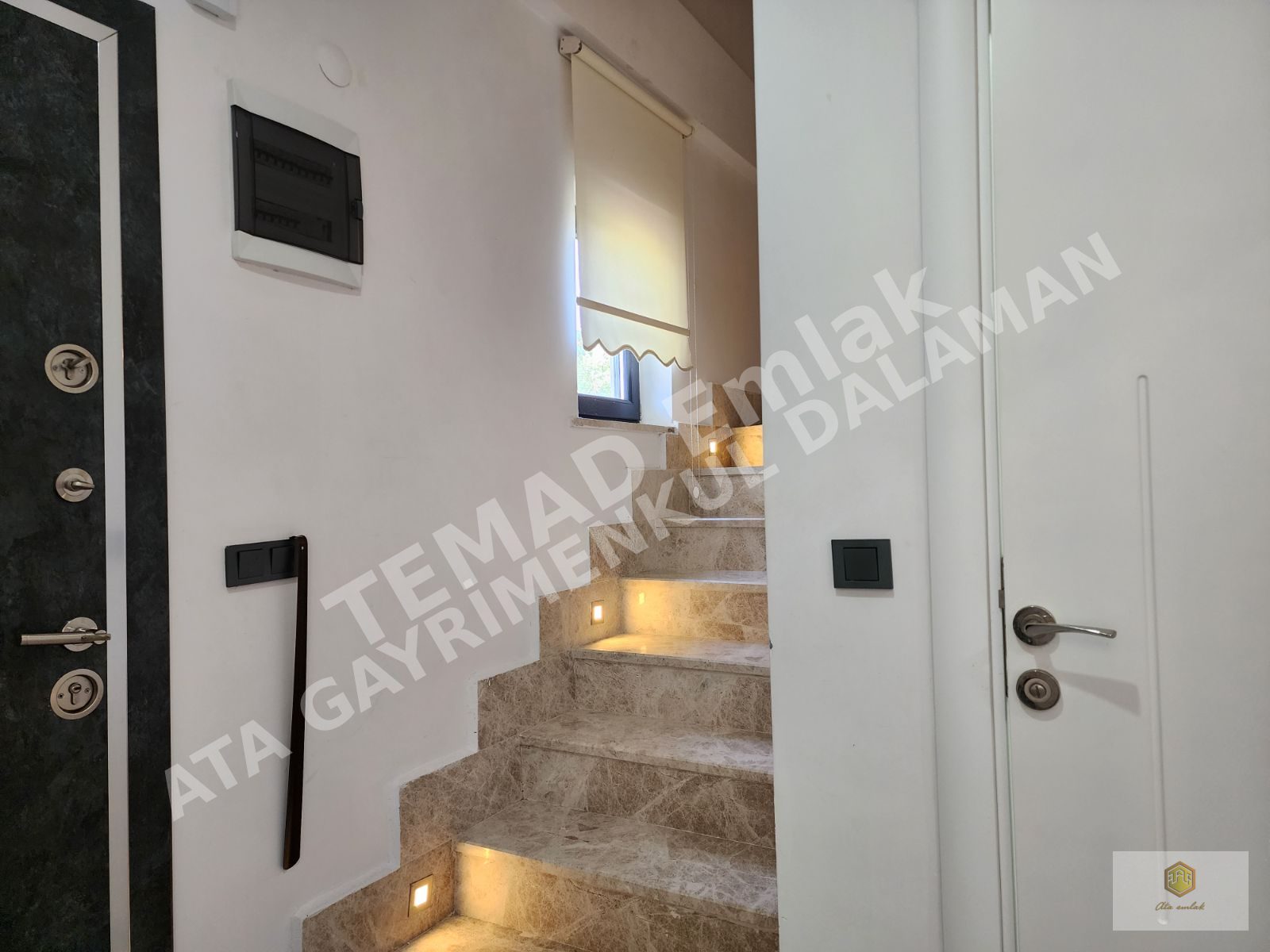 Fotoğraf