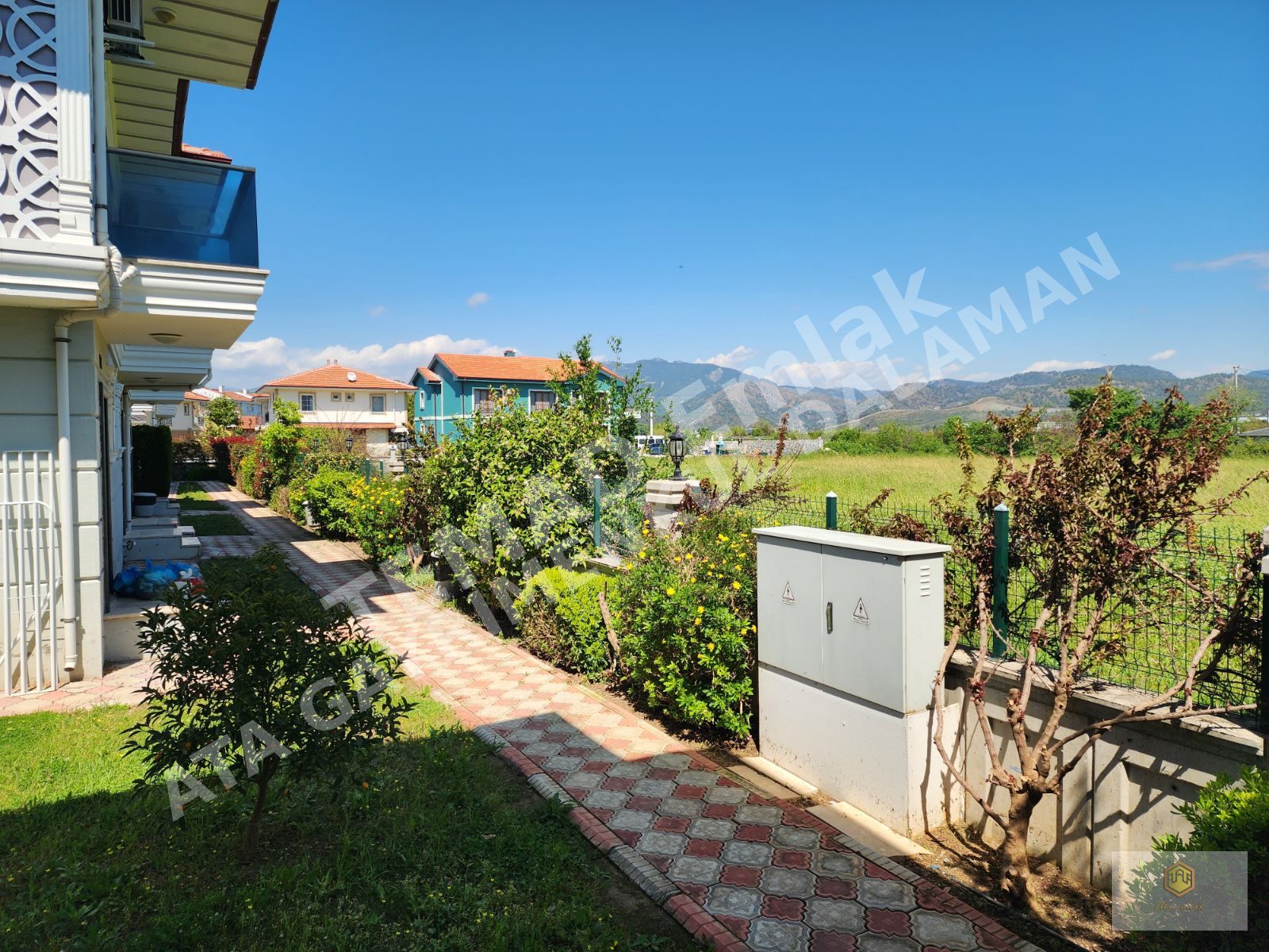 Fotoğraf