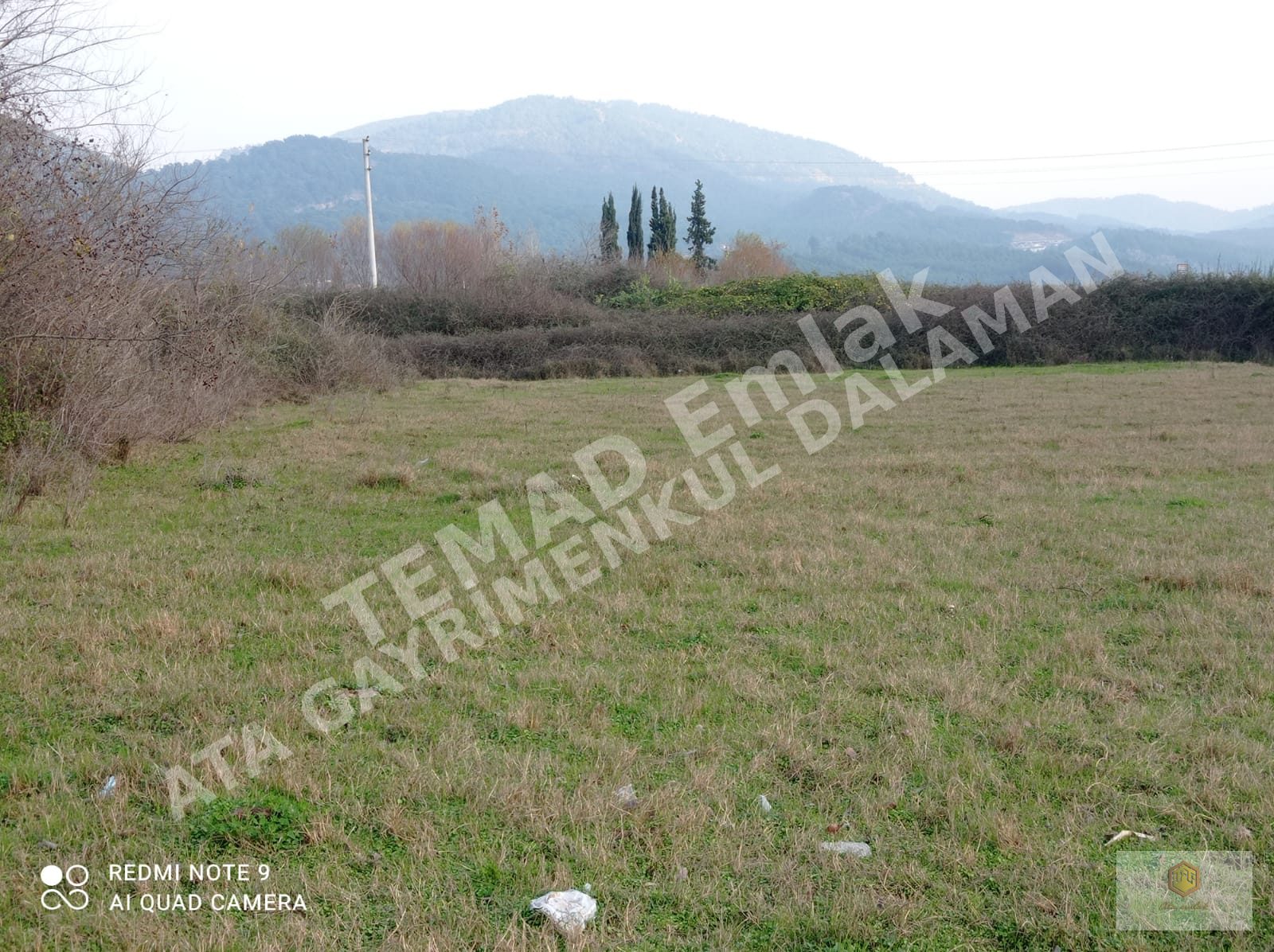 Fotoğraf