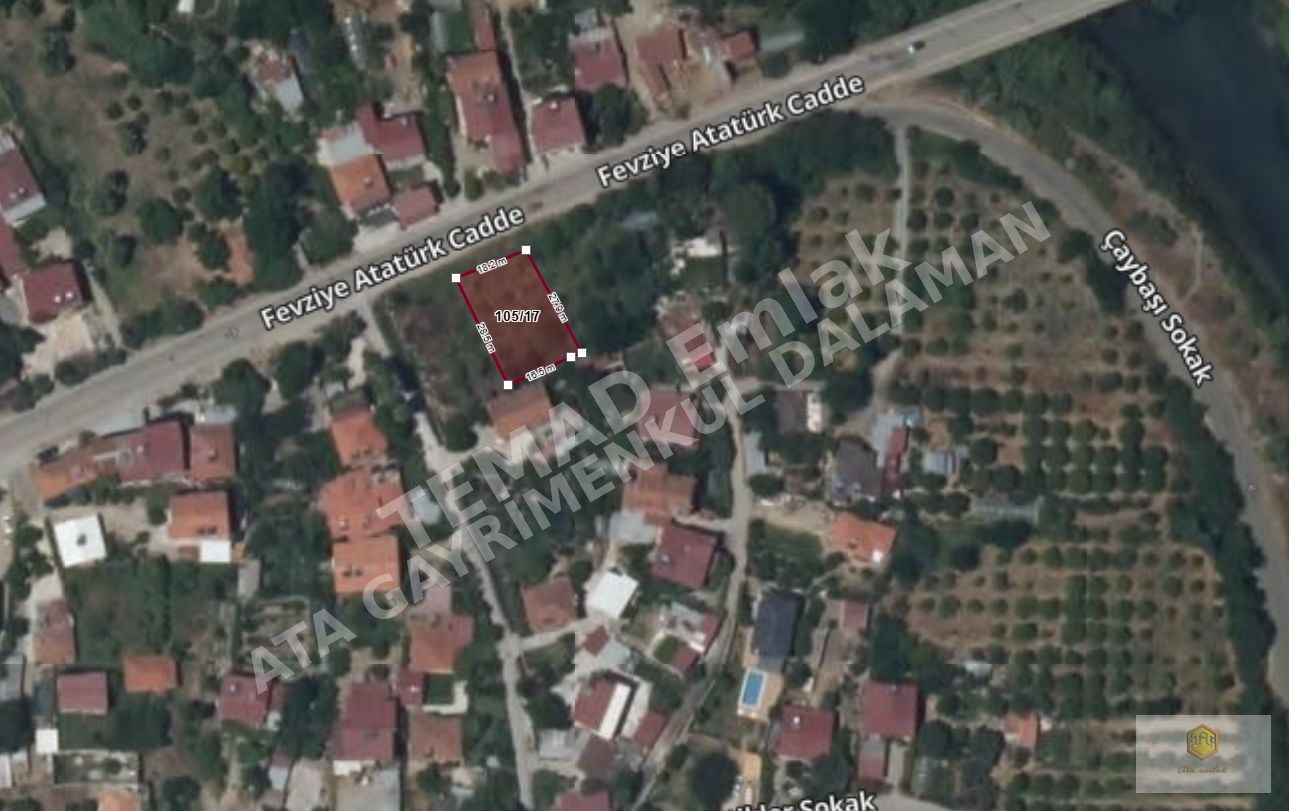 Fotoğraf