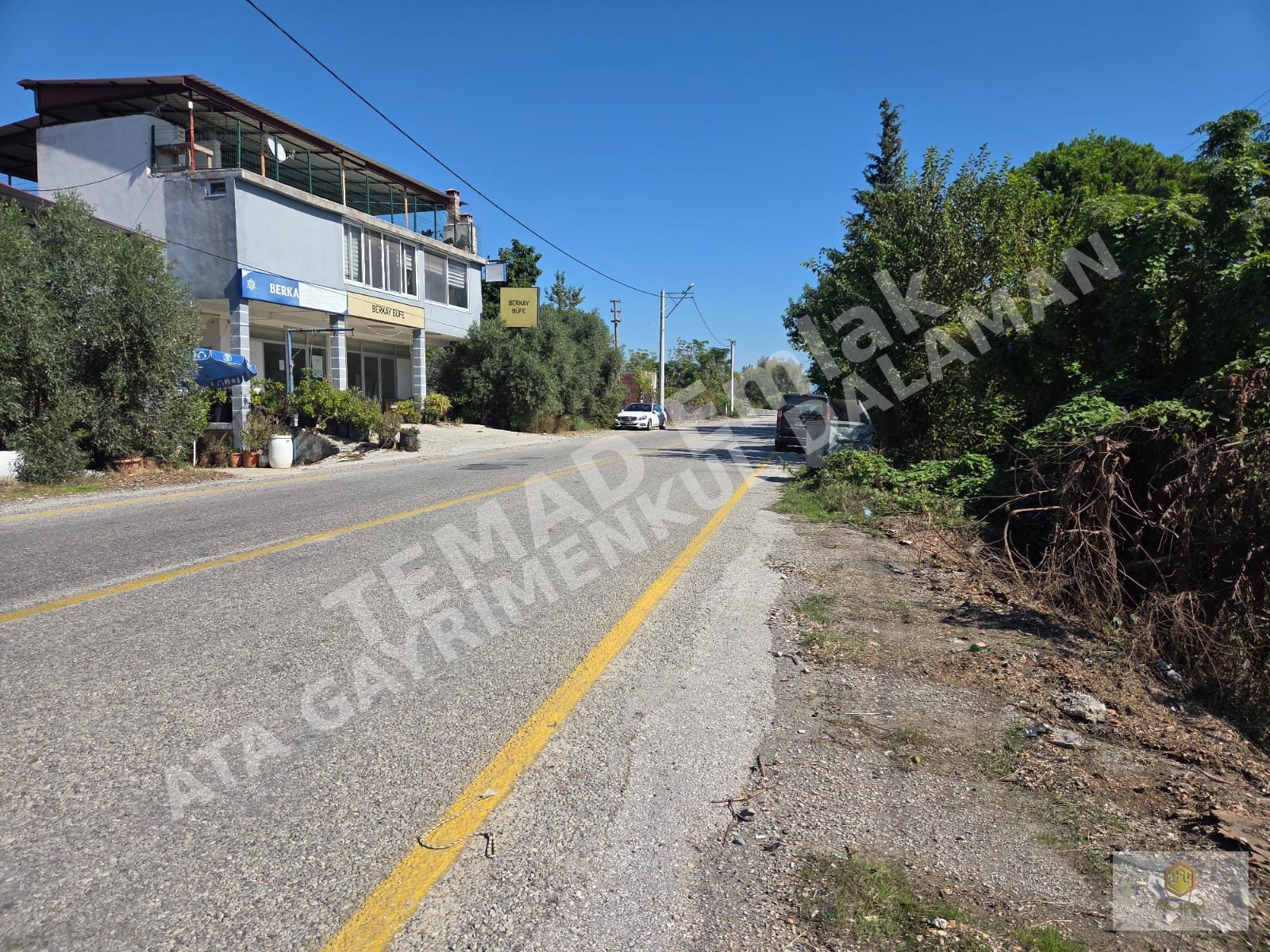 Fotoğraf