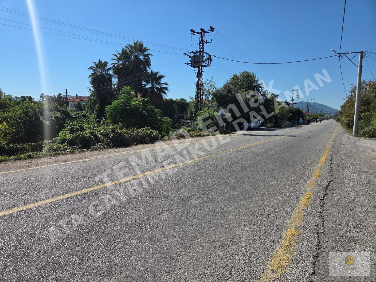 Fotoğraf