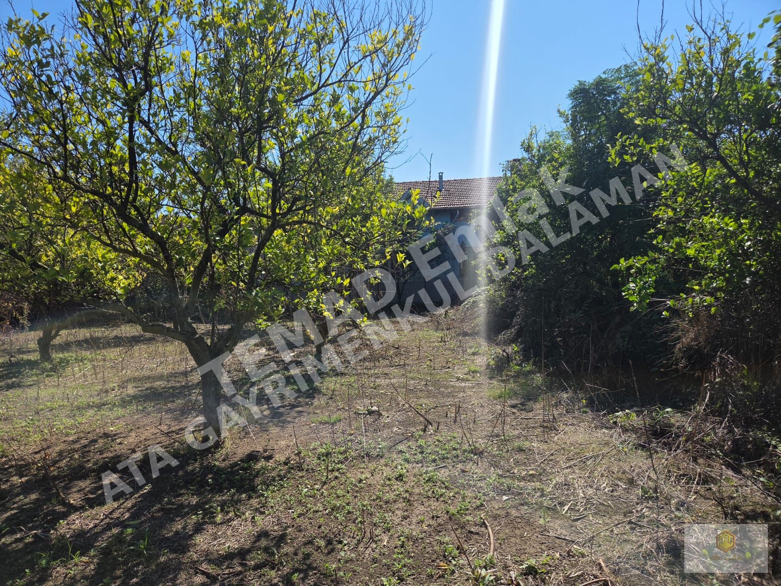 Fotoğraf