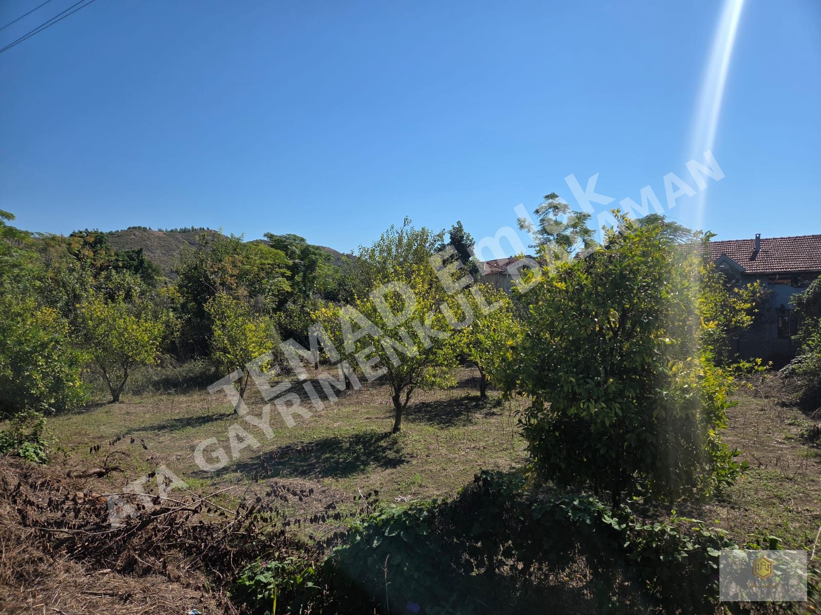 Fotoğraf