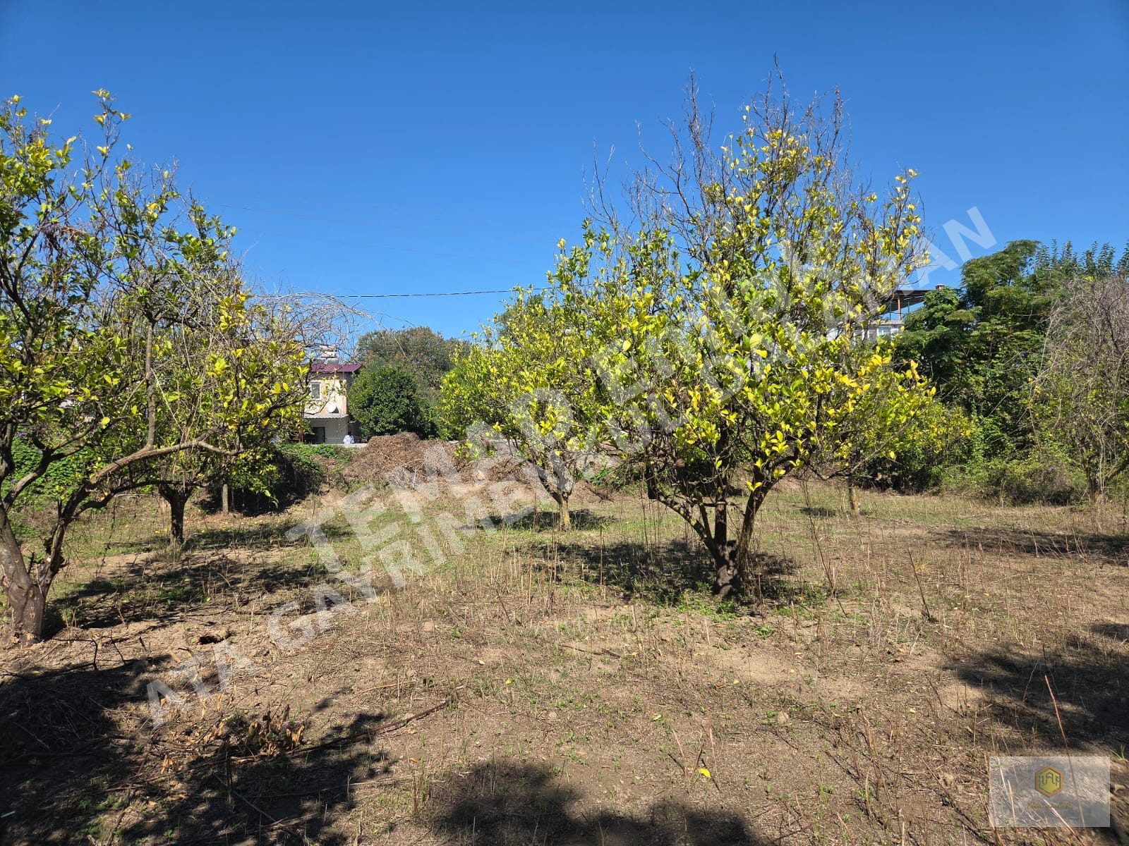 Fotoğraf