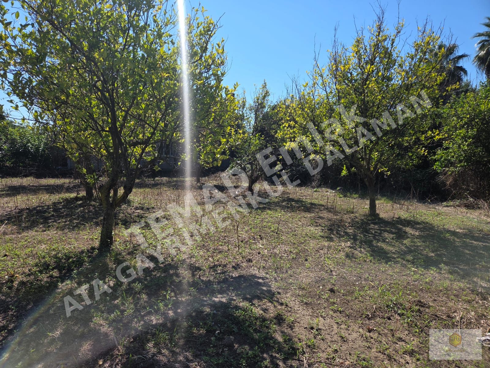 Fotoğraf