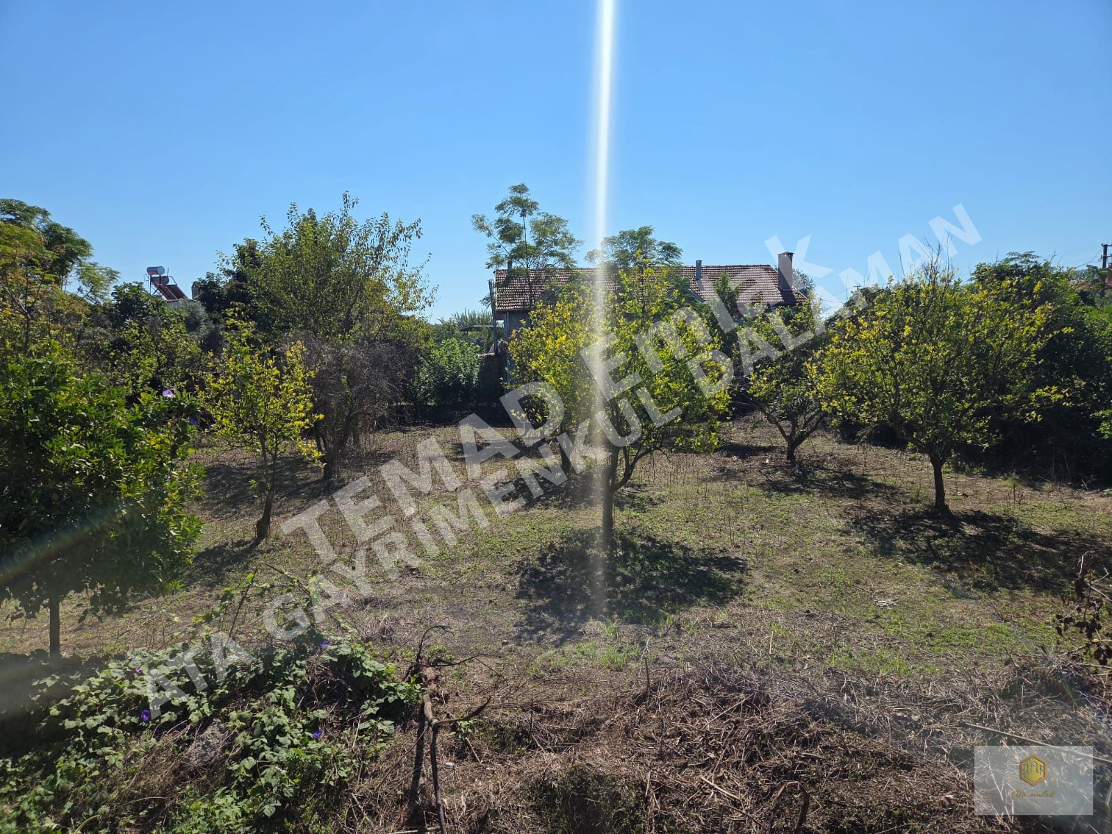 Fotoğraf