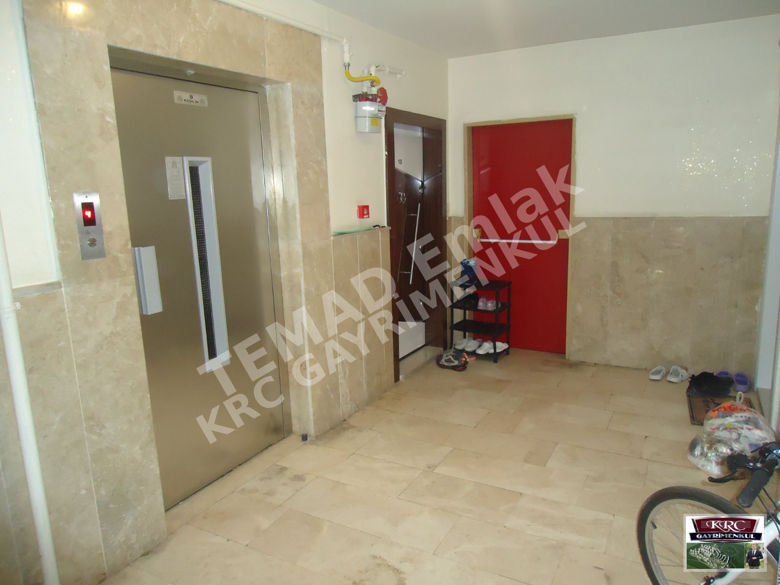 Fotoğraf
