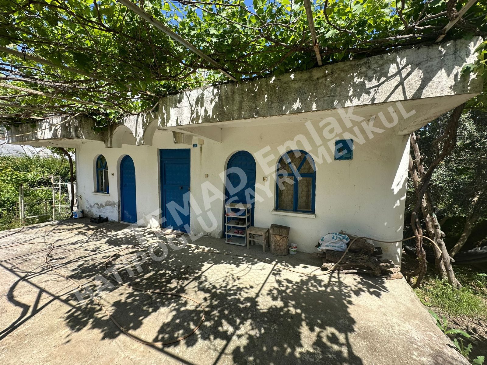 Fotoğraf