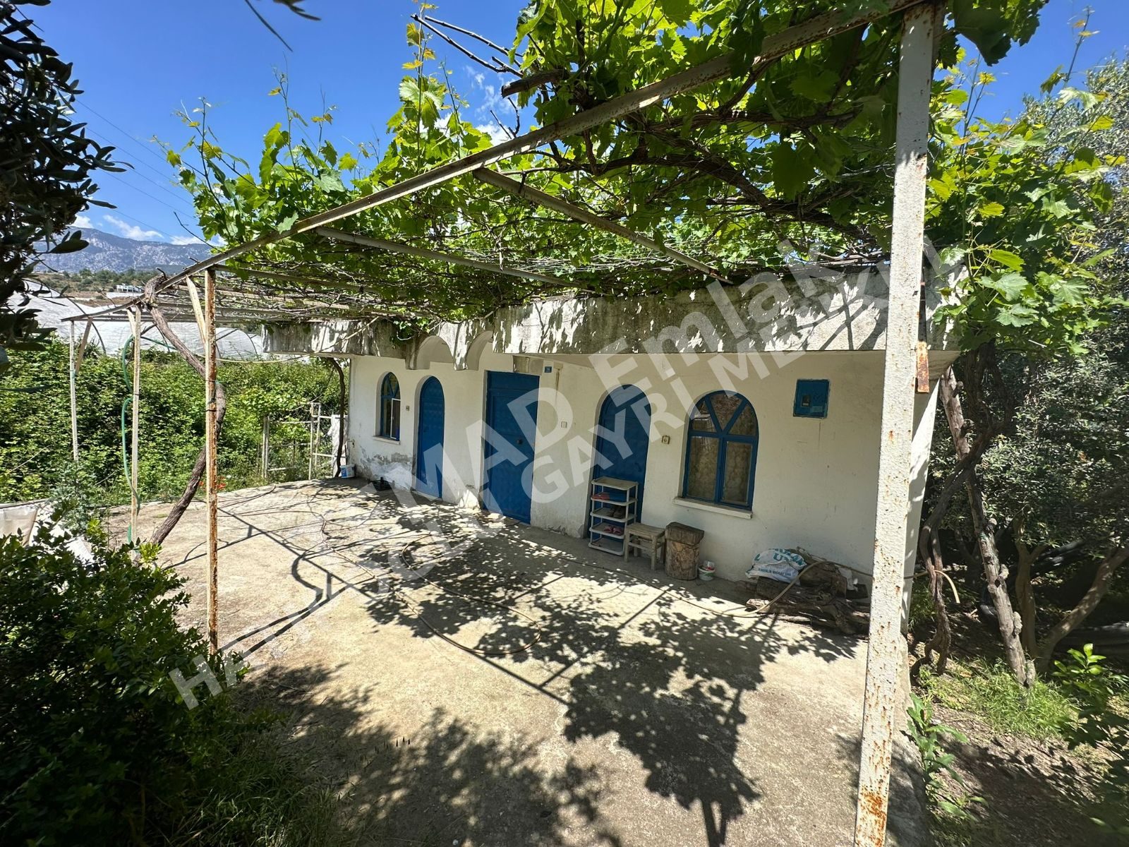 Fotoğraf