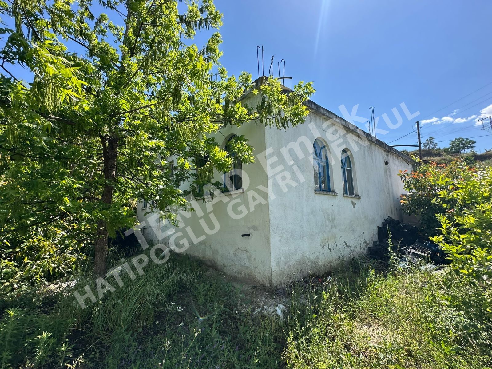 Fotoğraf