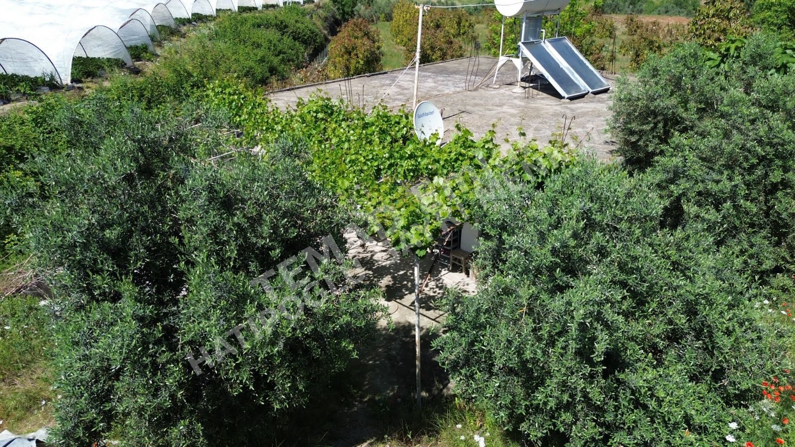 Fotoğraf