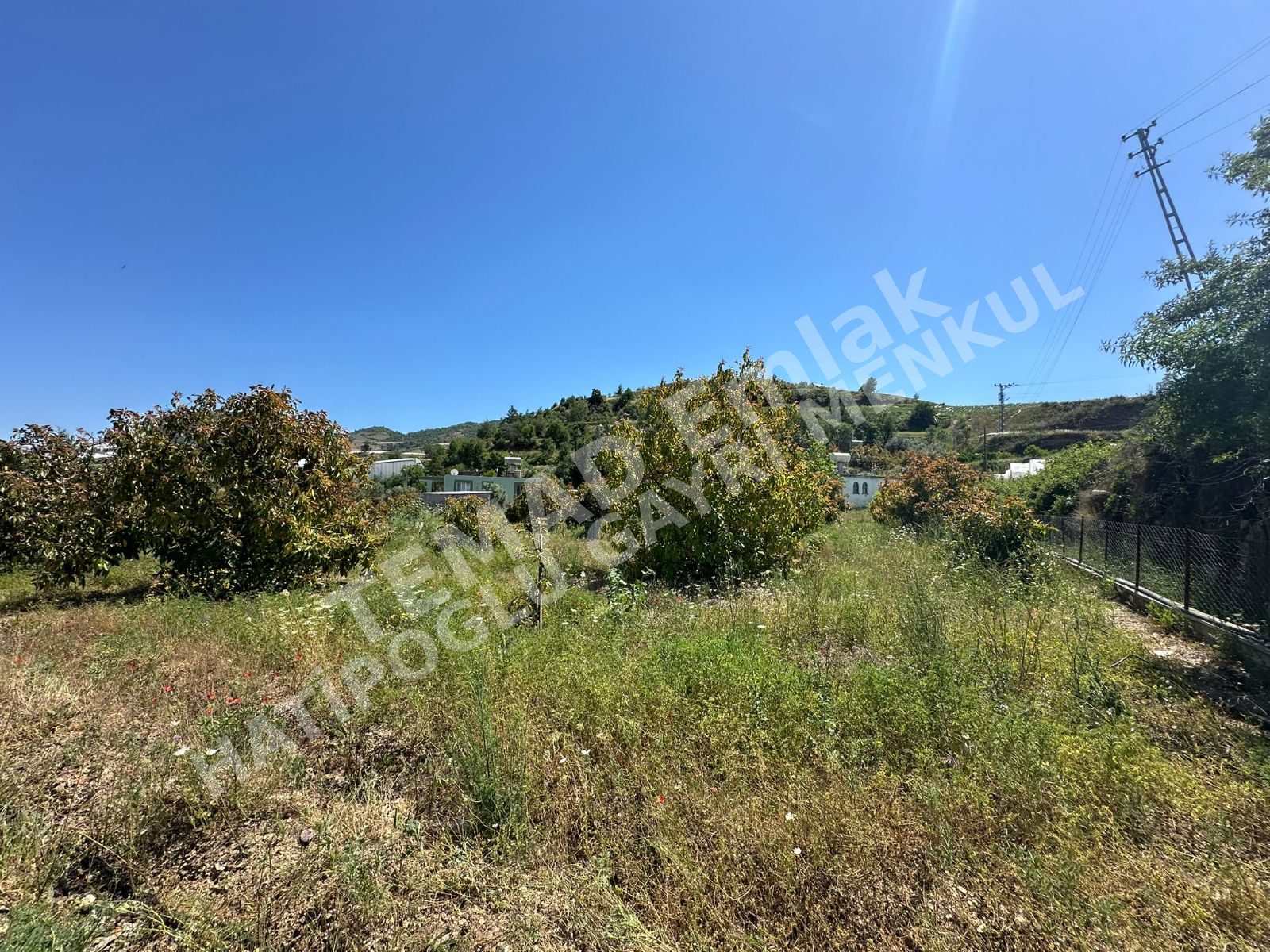 Fotoğraf