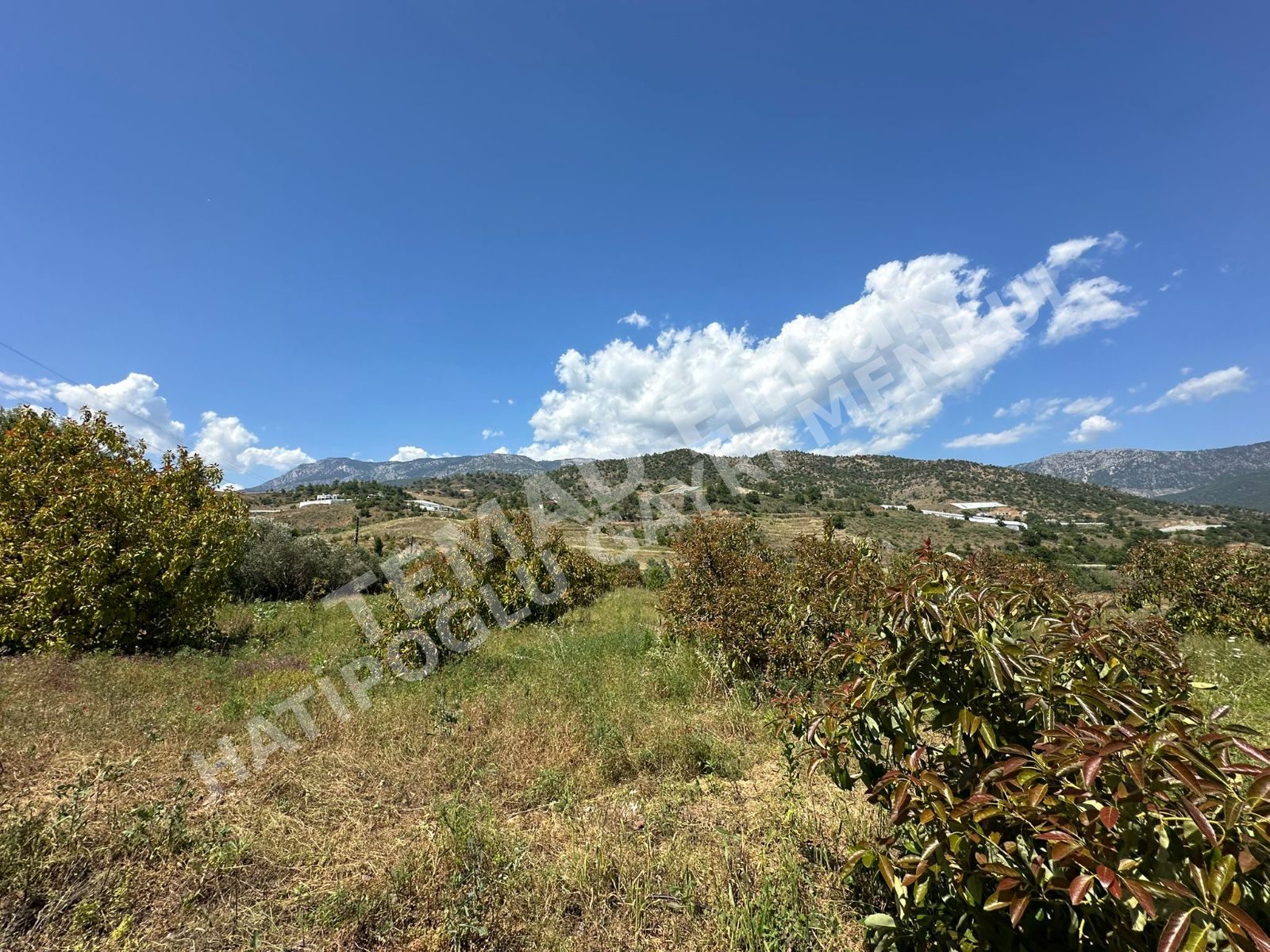 Fotoğraf