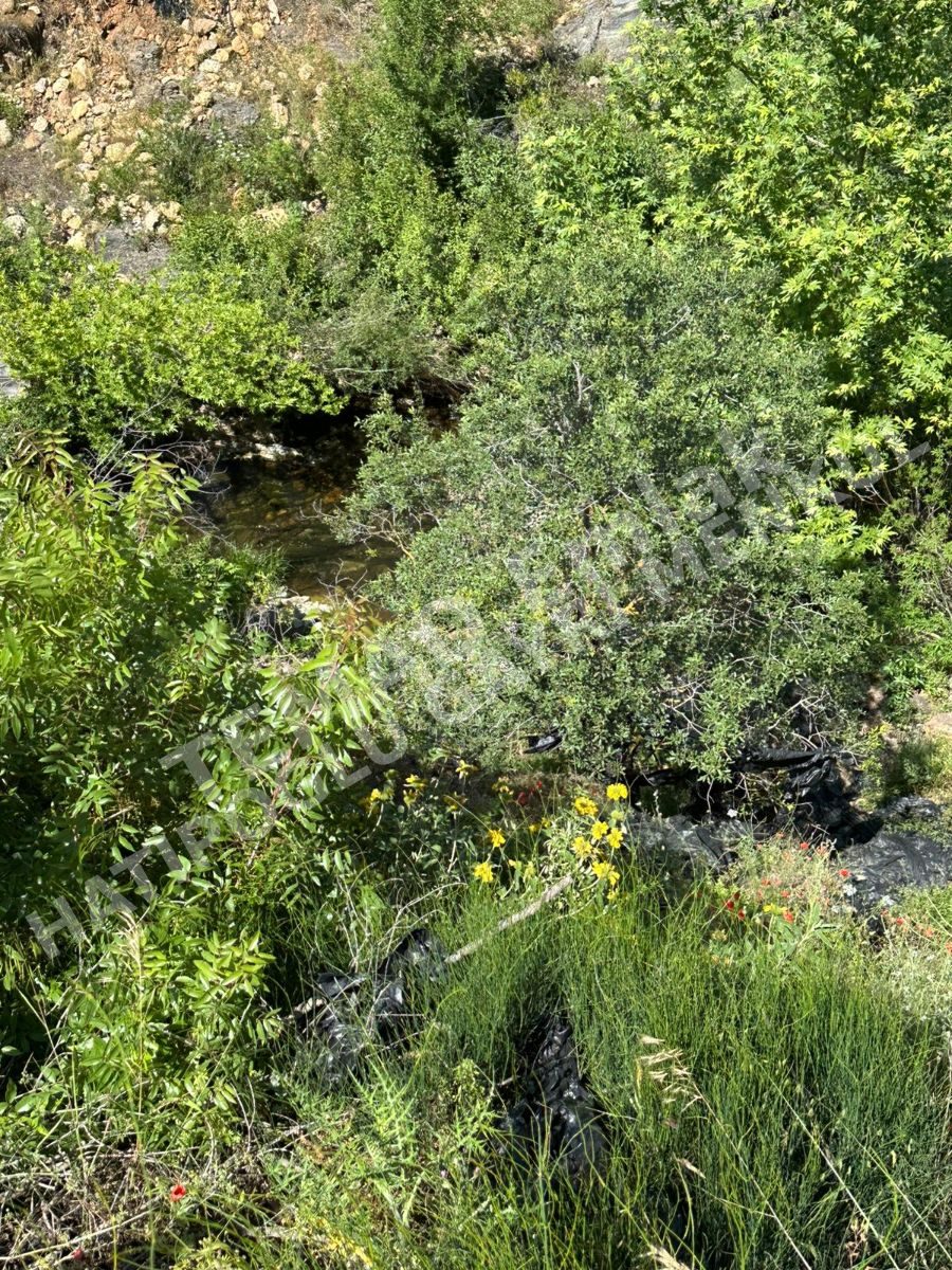 Fotoğraf