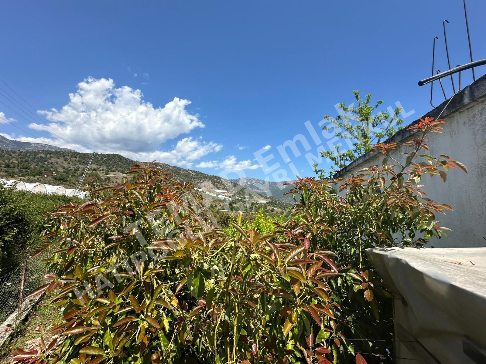 Fotoğraf
