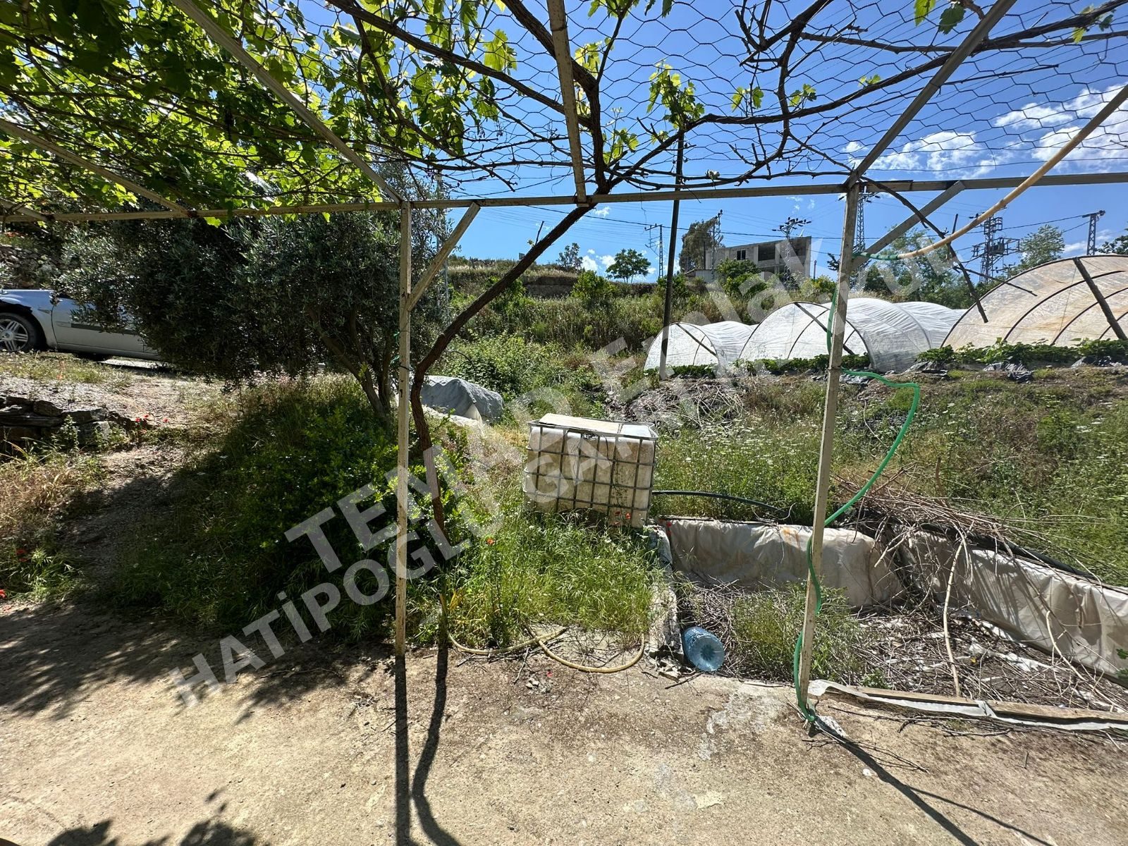 Fotoğraf