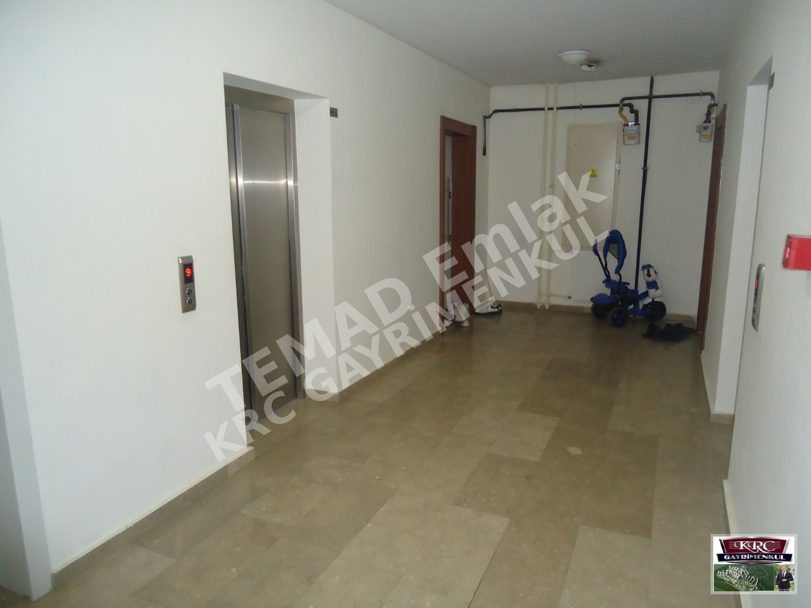 Fotoğraf