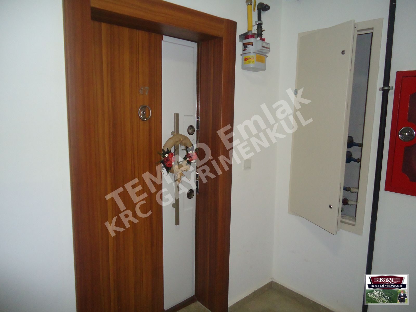 Fotoğraf