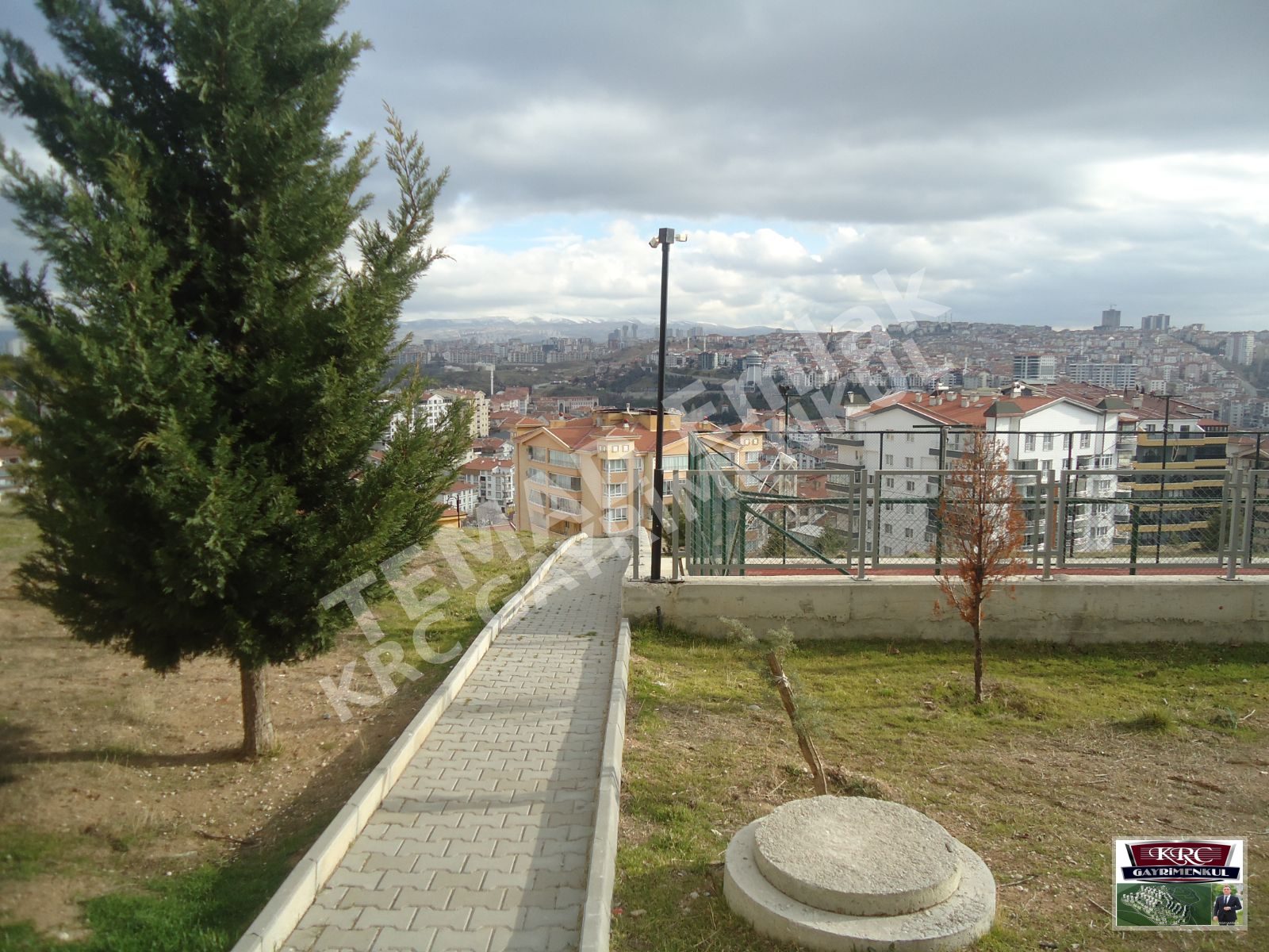 Fotoğraf