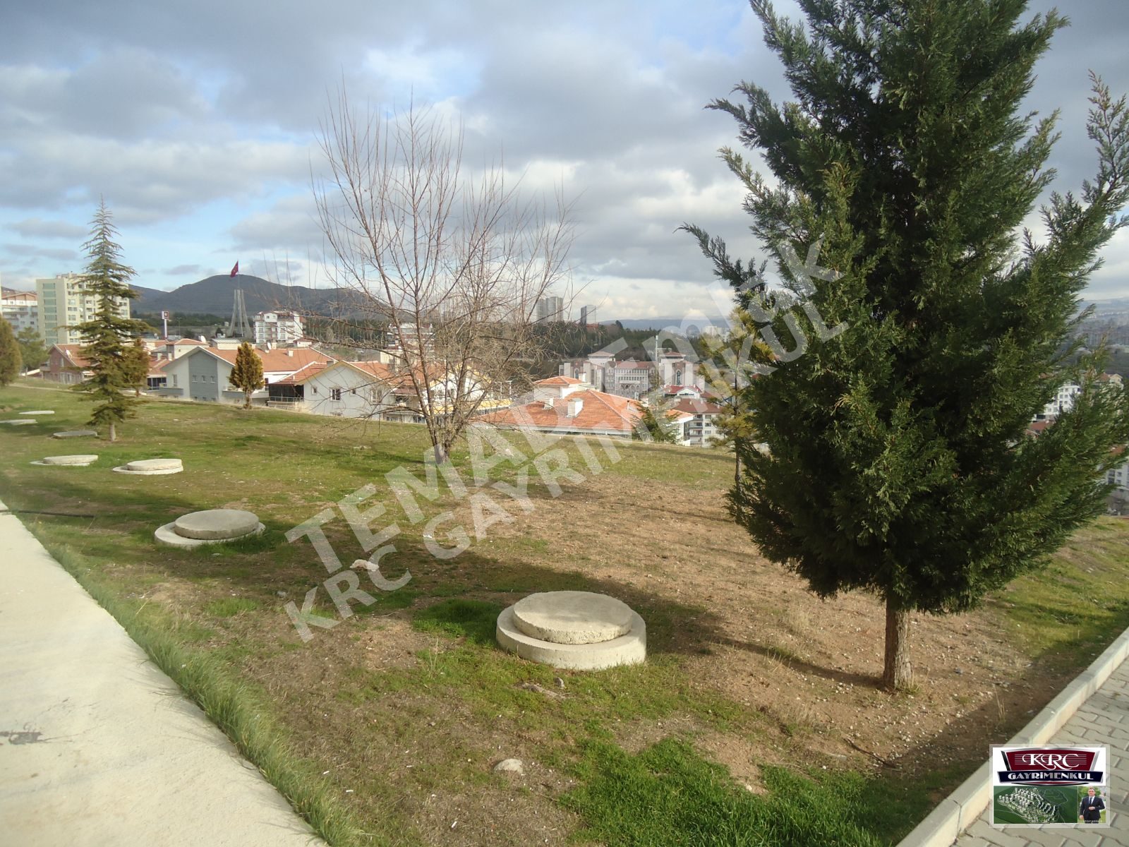 Fotoğraf
