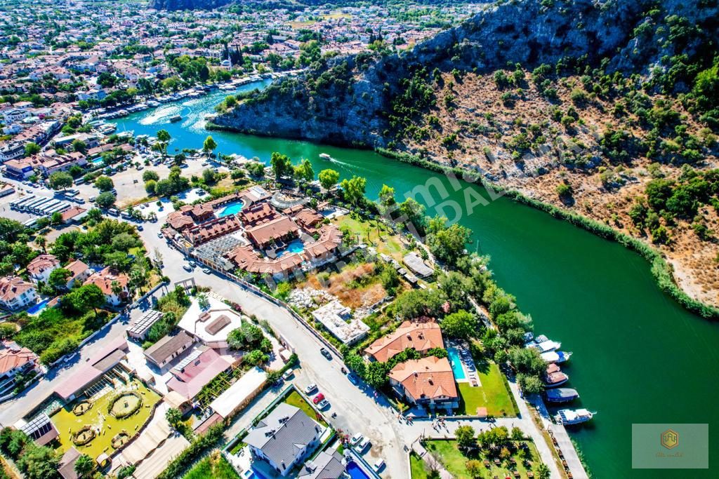 Fotoğraf