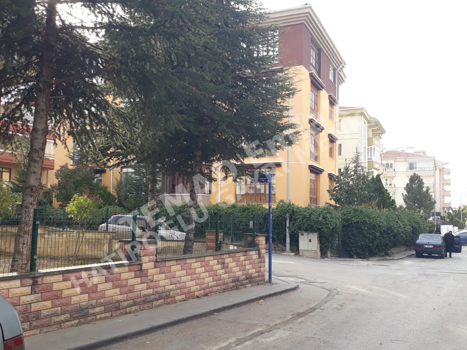 Fotoğraf