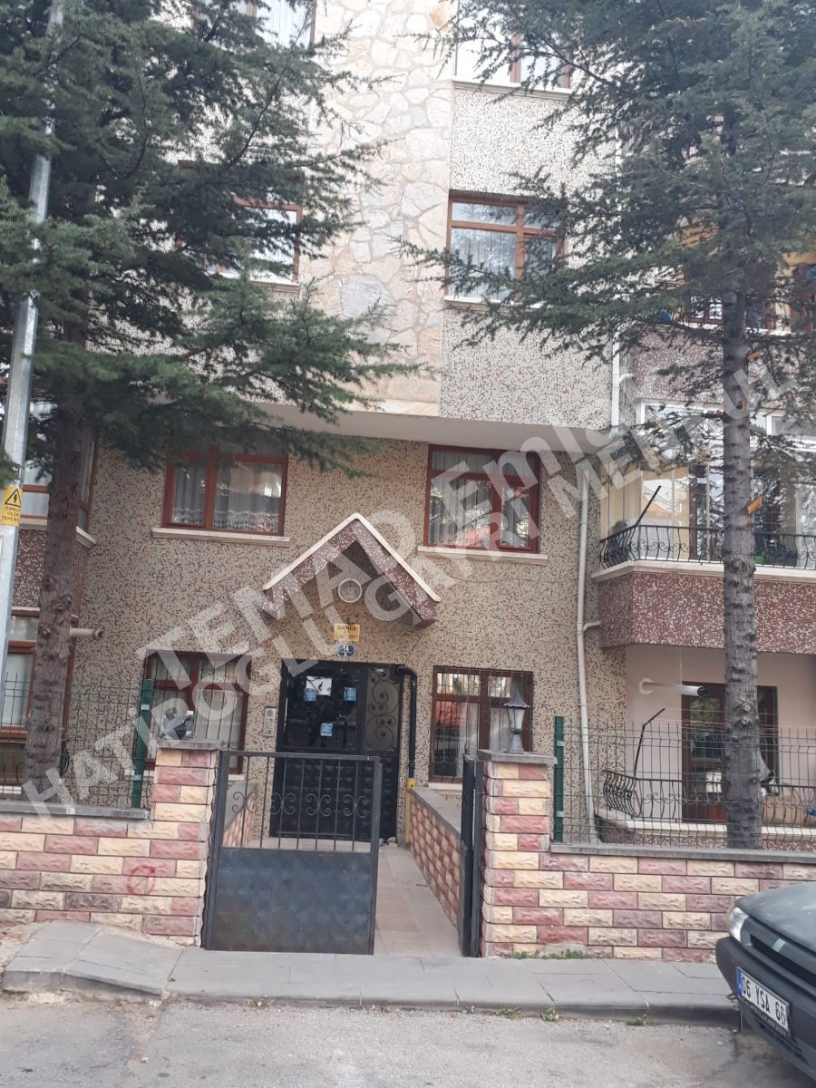 Fotoğraf