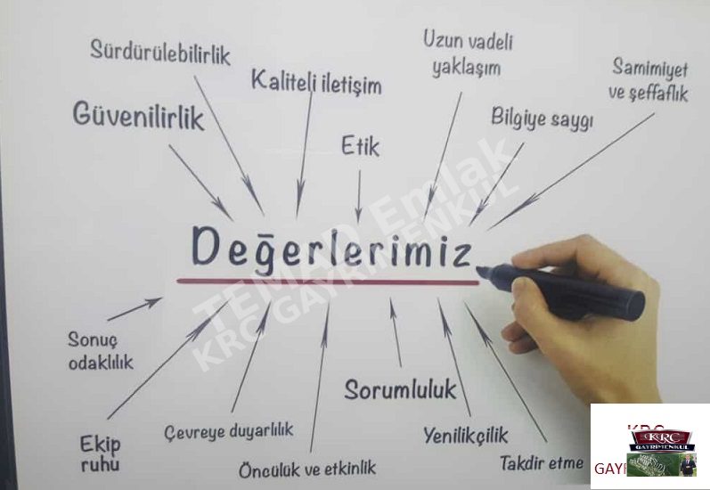Fotoğraf