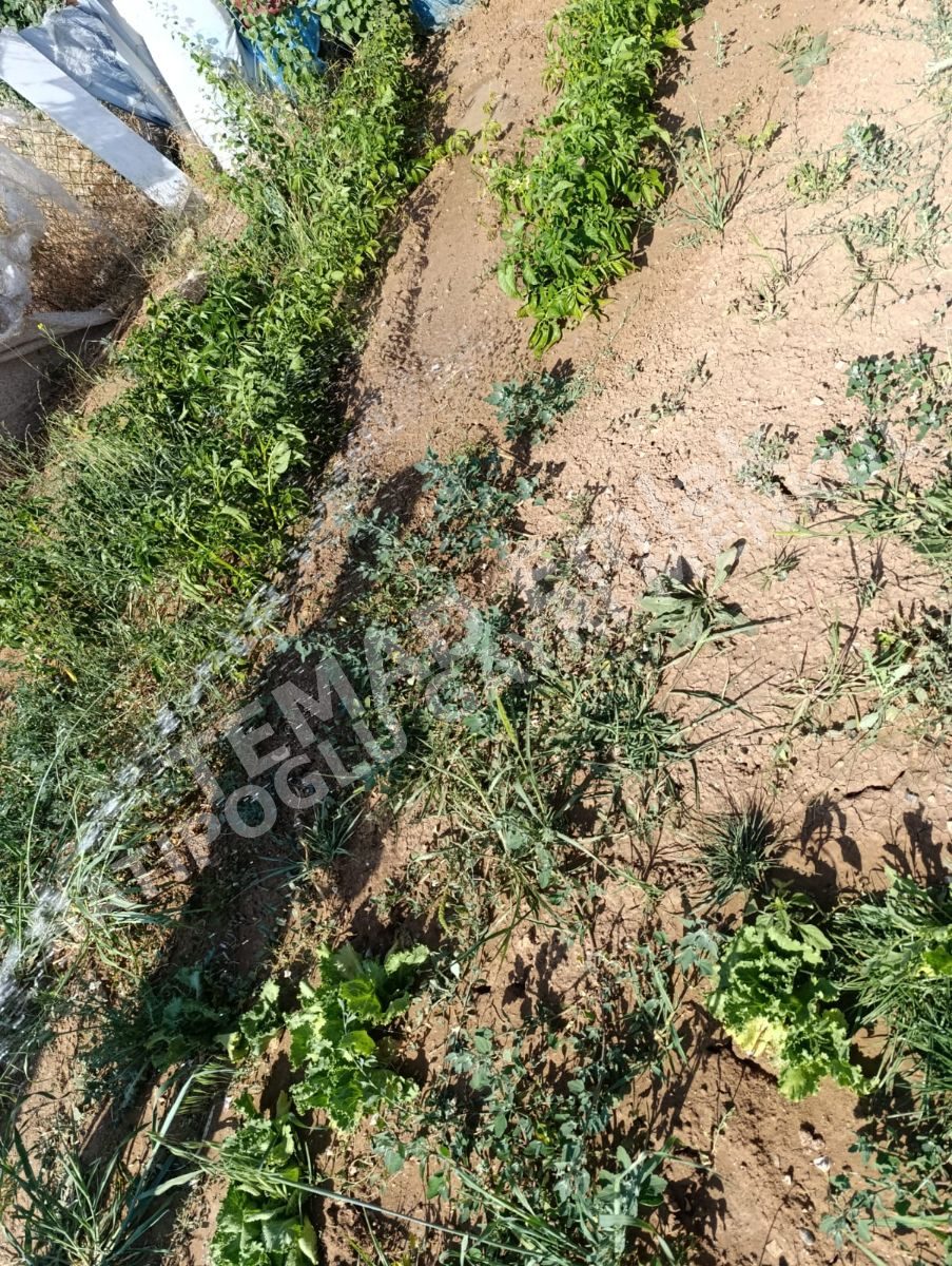 Fotoğraf