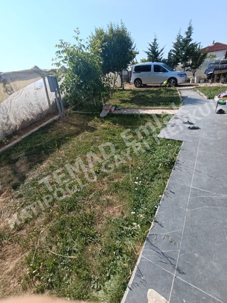 Fotoğraf