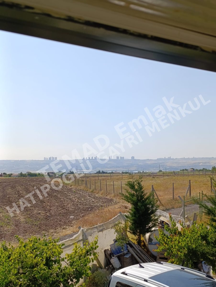 Fotoğraf