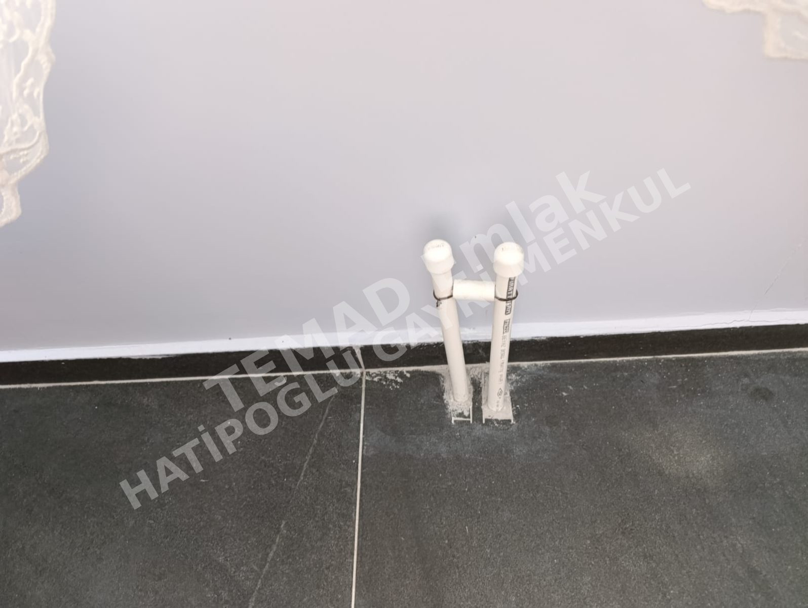 Fotoğraf