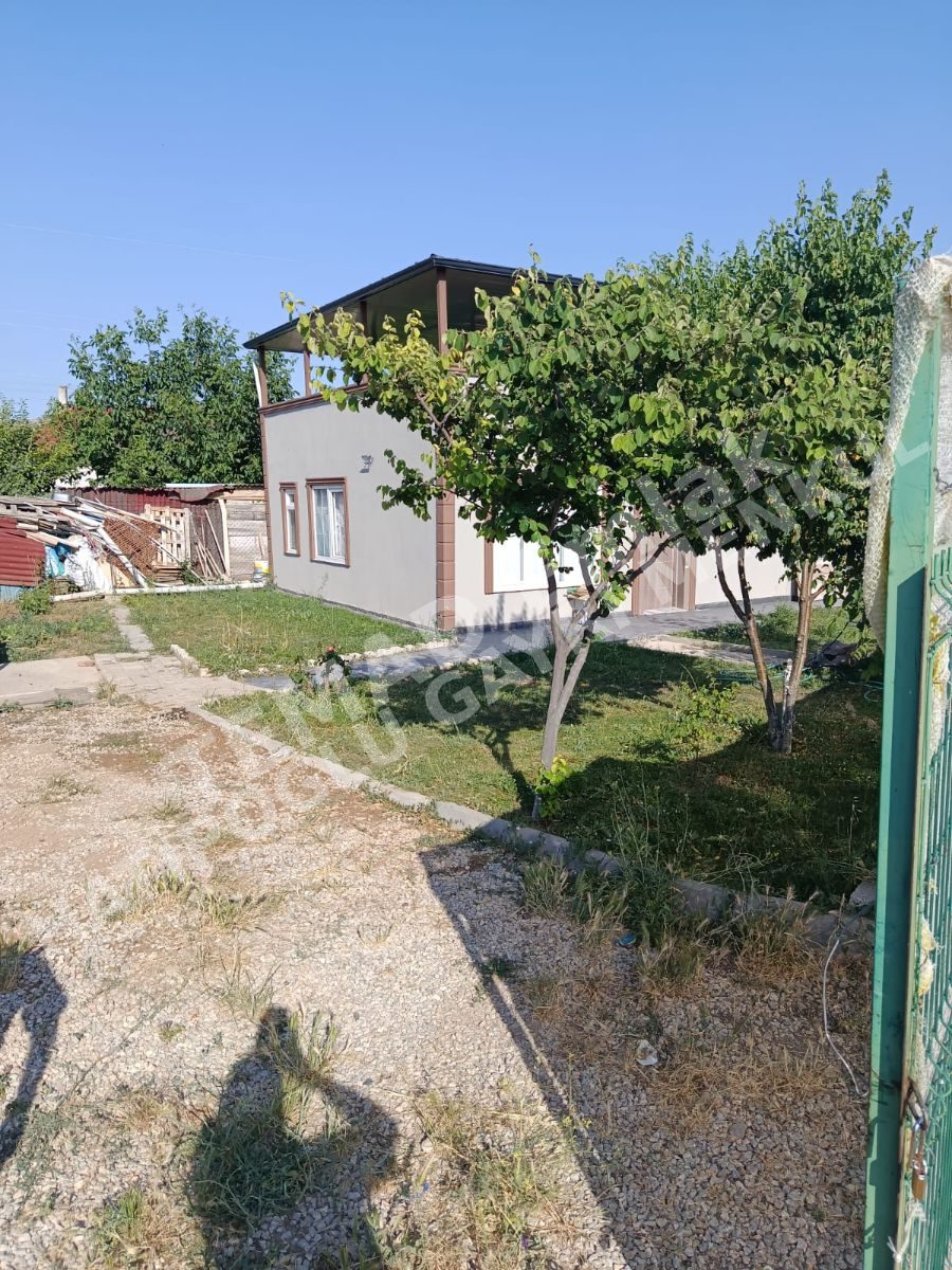 Fotoğraf