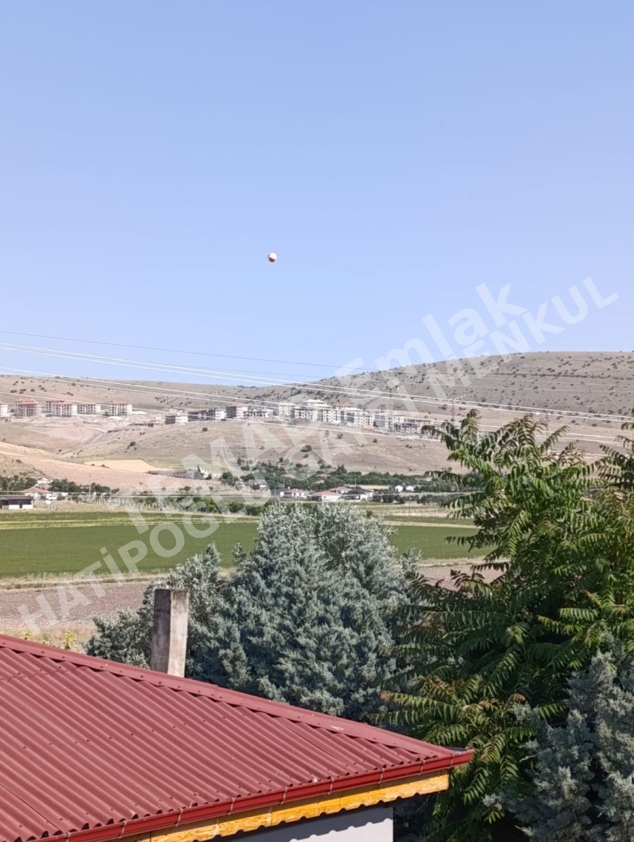Fotoğraf
