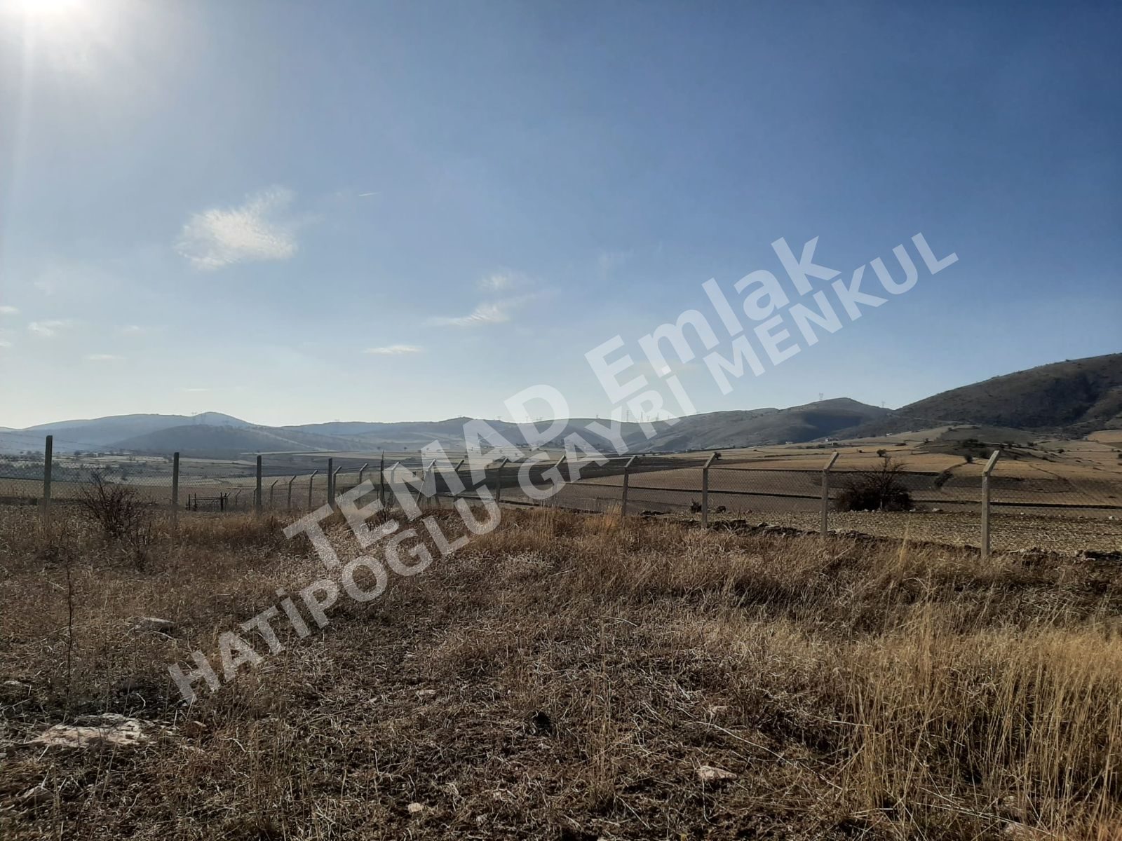 Fotoğraf
