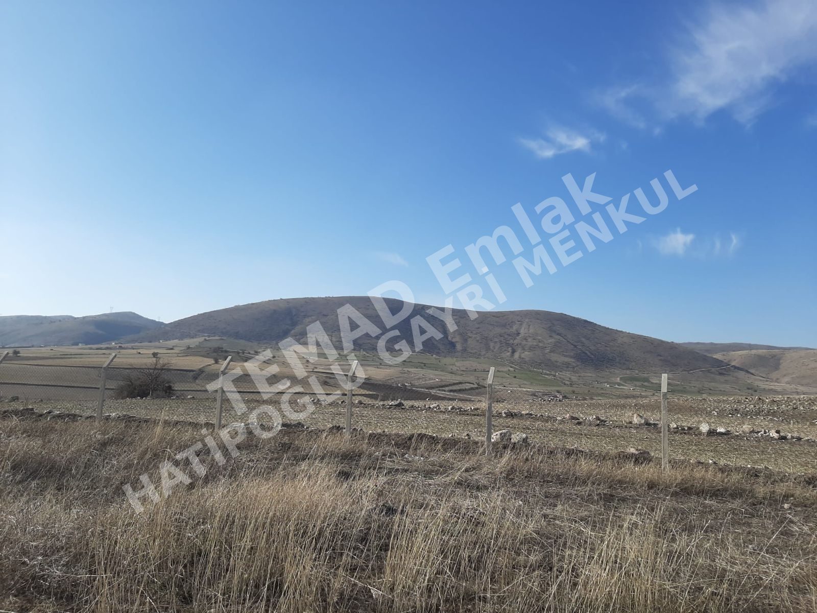 Fotoğraf