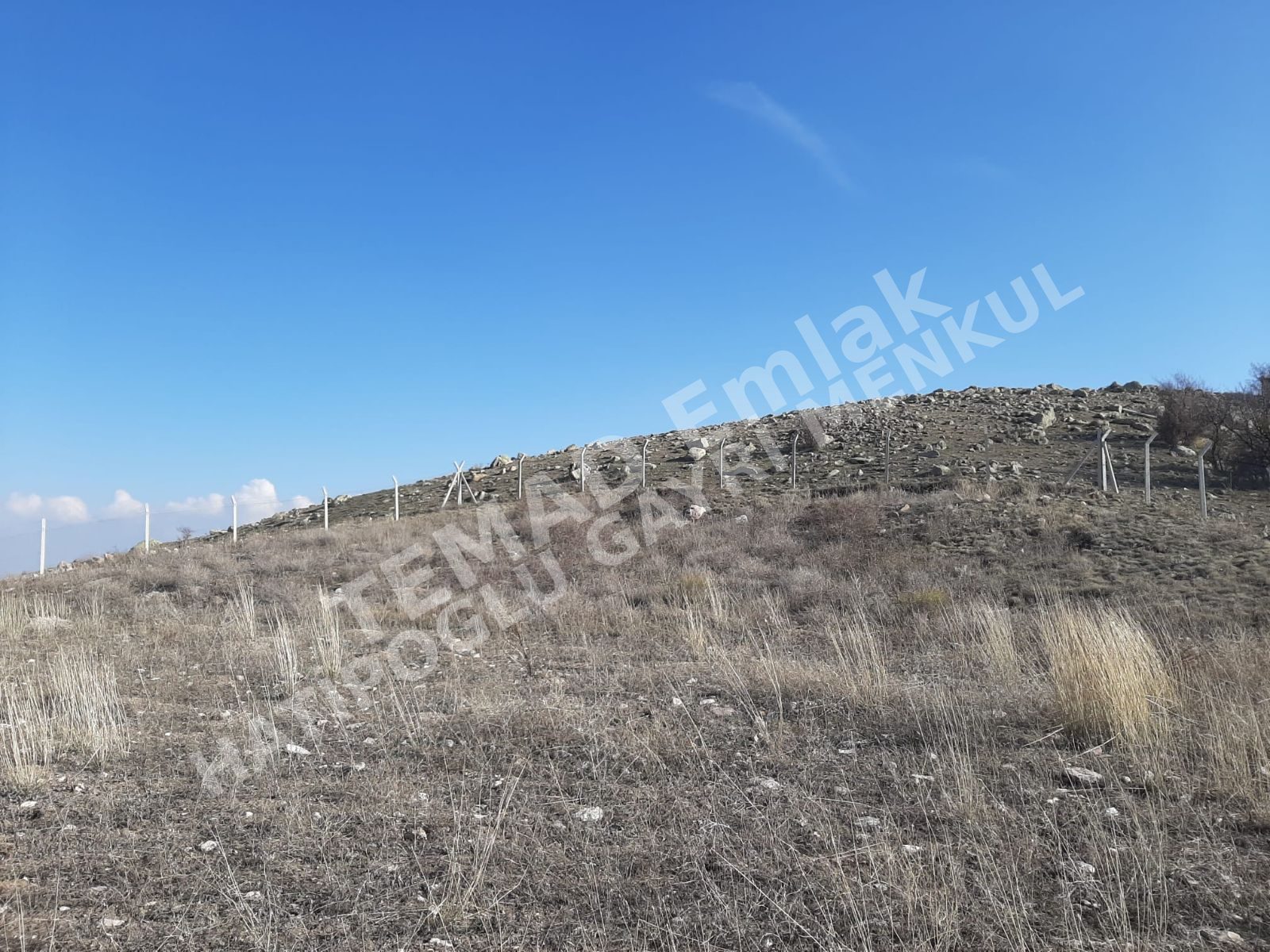 Fotoğraf