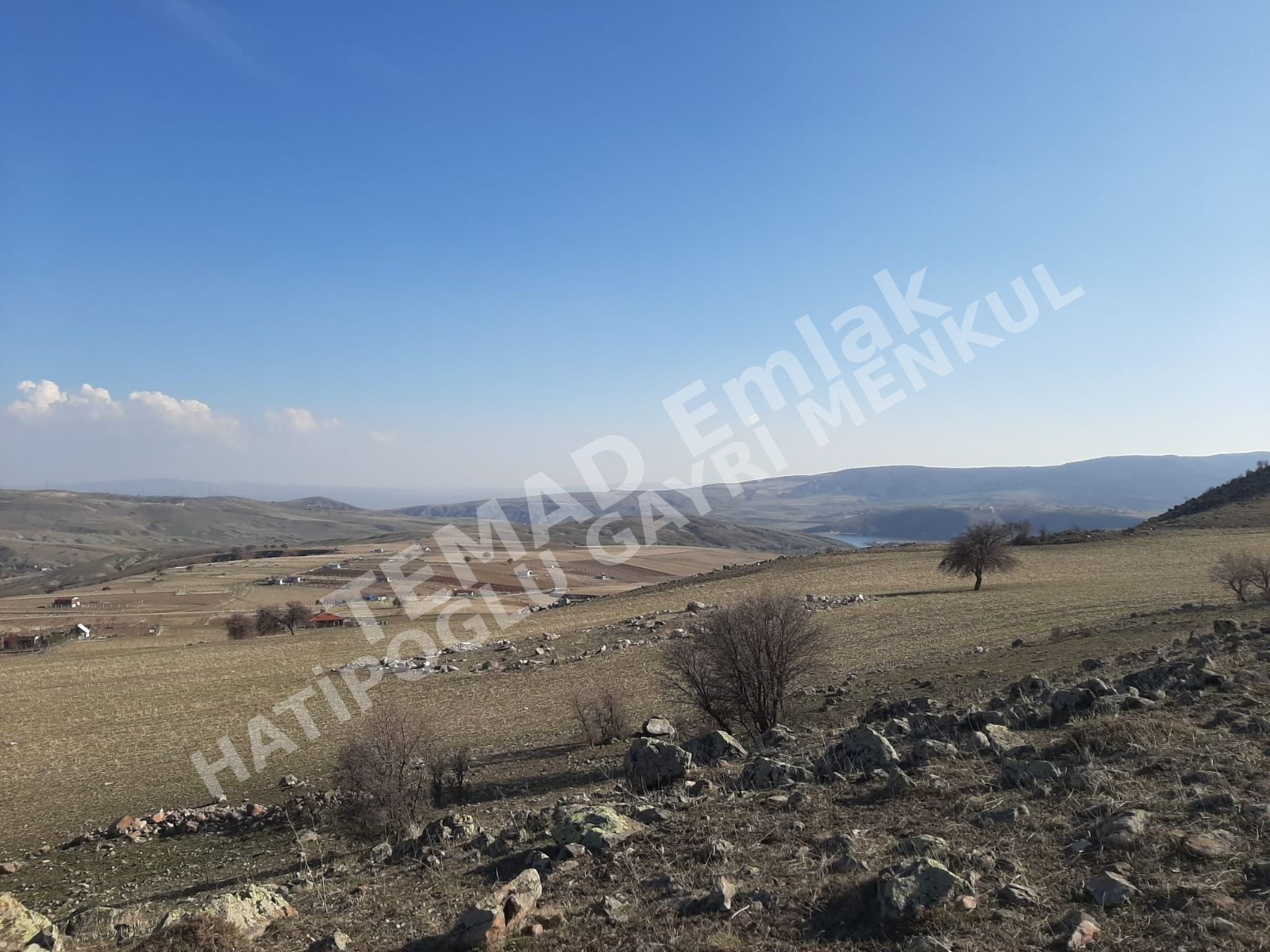 Fotoğraf
